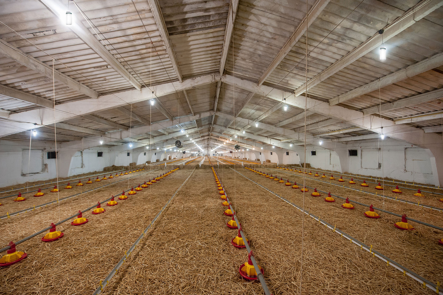 10,000 Lumen LED COB Bulb